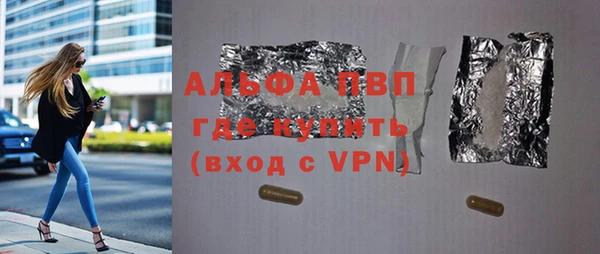 гашик Алексин
