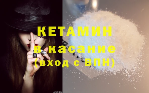 гашик Алексин