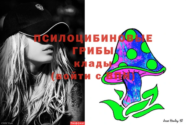 спиды Няндома