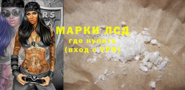 гашик Алексин