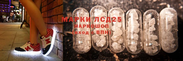 гашик Алексин