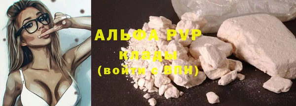 гашик Алексин