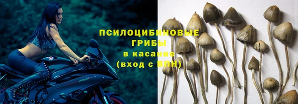 эйфоретик Нязепетровск